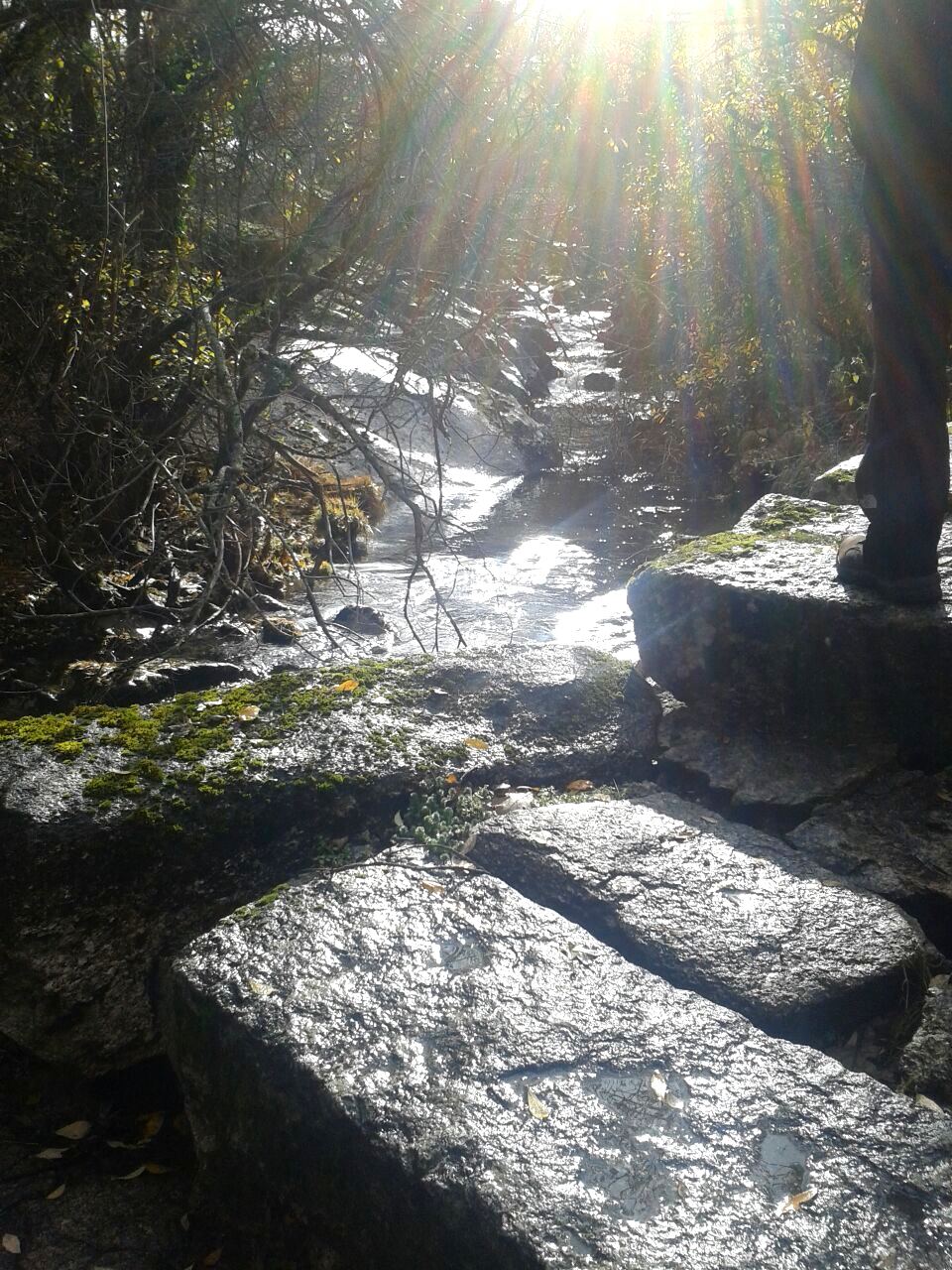 Buscando la luz
